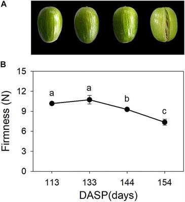 Acceleration of Aril Cracking by Ethylene in <mark class="highlighted">Torreya grandis</mark> During Nut Maturation